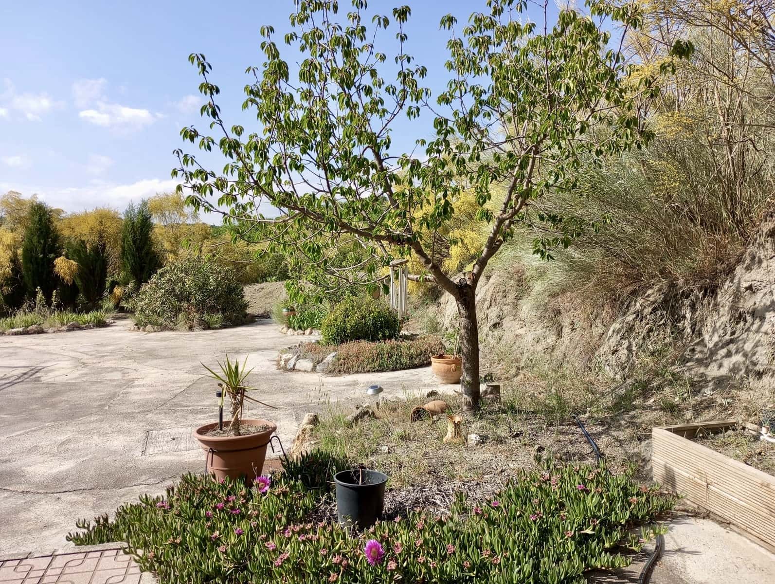 3 bedroom Villa for sale in Oria - € 185,000 (Ref: 9888672)