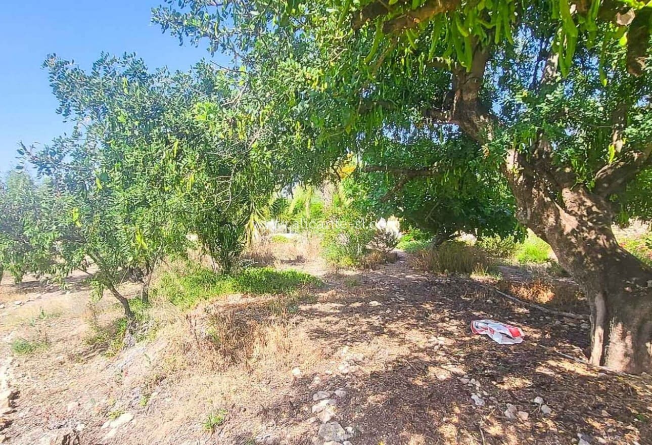 4 chambre Finca/Maison de Campagne à vendre à Hondon de las Nieves avec piscine garage - 279 950 € (Ref: 10039242)