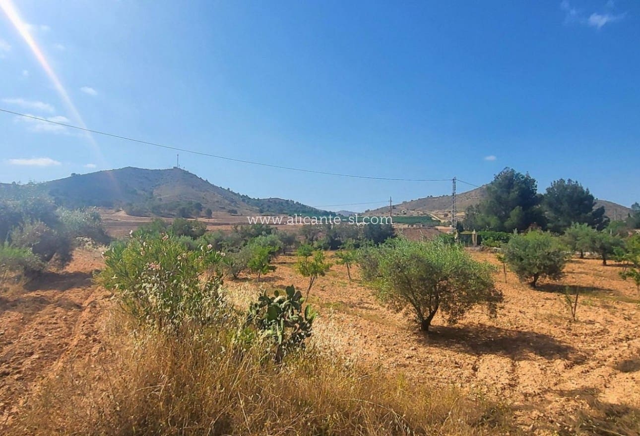 4 chambre Finca/Maison de Campagne à vendre à Hondon de las Nieves avec piscine garage - 279 950 € (Ref: 10039242)