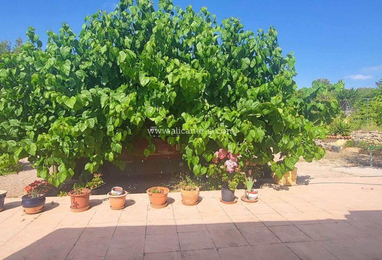 4 chambre Finca/Maison de Campagne à vendre à Hondon de las Nieves avec piscine garage - 279 950 € (Ref: 10039242)