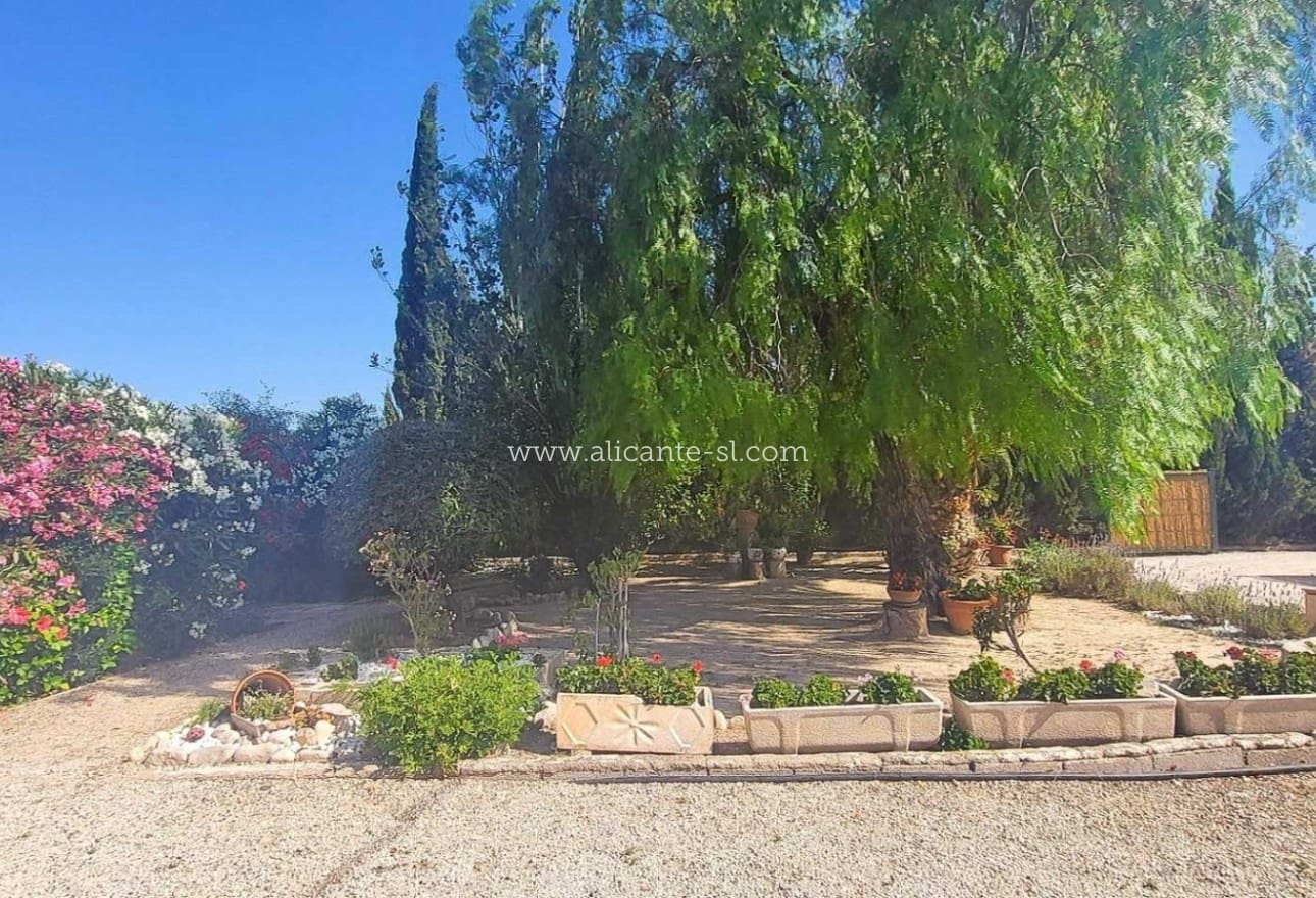 4 chambre Villa/Maison à vendre à Novelda avec piscine - 279 950 € (Ref: 10039243)
