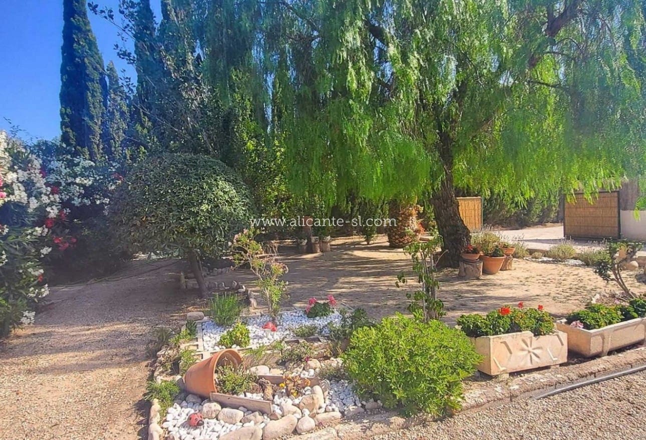 4 chambre Villa/Maison à vendre à Novelda avec piscine - 279 950 € (Ref: 10039243)