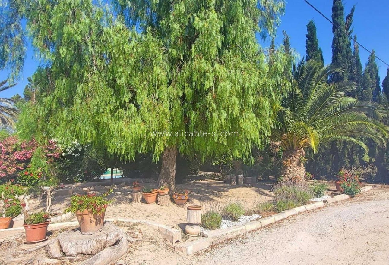 4 chambre Villa/Maison à vendre à Novelda avec piscine - 279 950 € (Ref: 10039243)