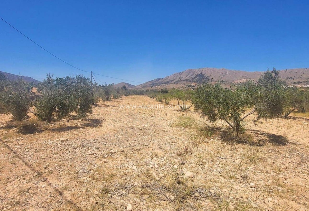 2 soverom Grottehus til salgs i La Romana med svømmebasseng garasje - € 145 000 (Ref: 10183492)