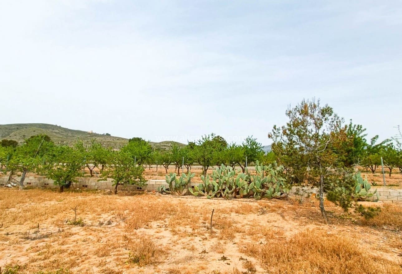 4 soveværelse Finca/Landehus til salg i Hondon de los Frailes med garage - € 179.950 (Ref: 8980480)