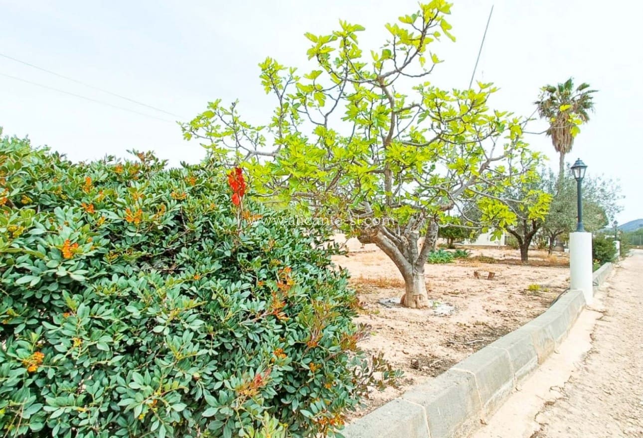 4 soveværelse Finca/Landehus til salg i Hondon de los Frailes med garage - € 179.950 (Ref: 8980480)