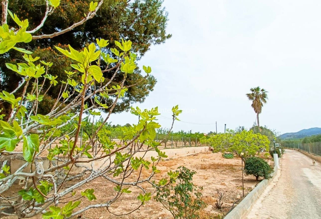 4 soveværelse Finca/Landehus til salg i Hondon de los Frailes med garage - € 179.950 (Ref: 8980480)