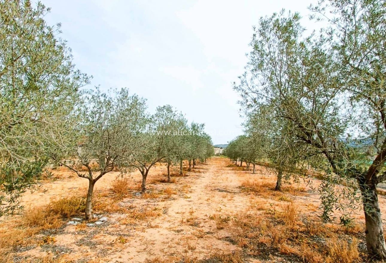 4 soveværelse Finca/Landehus til salg i Hondon de los Frailes med garage - € 179.950 (Ref: 8980480)