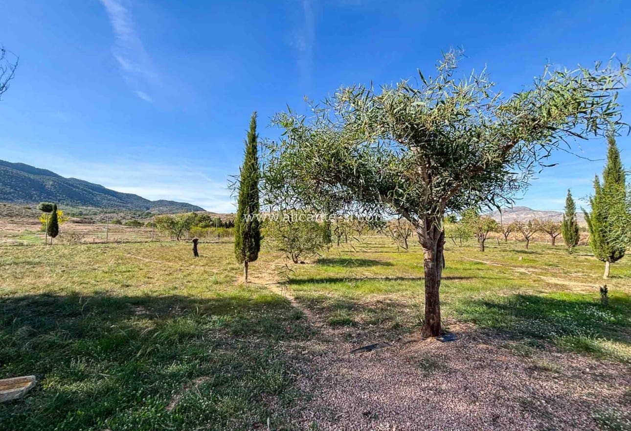 4 sypialnia Finka/Dom wiejski na sprzedaż w Hondon de las Nieves z basenem - 229 950 € (Ref: 9393472)