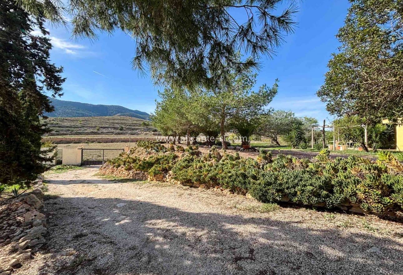 4 sypialnia Finka/Dom wiejski na sprzedaż w Hondon de las Nieves z basenem - 229 950 € (Ref: 9393472)