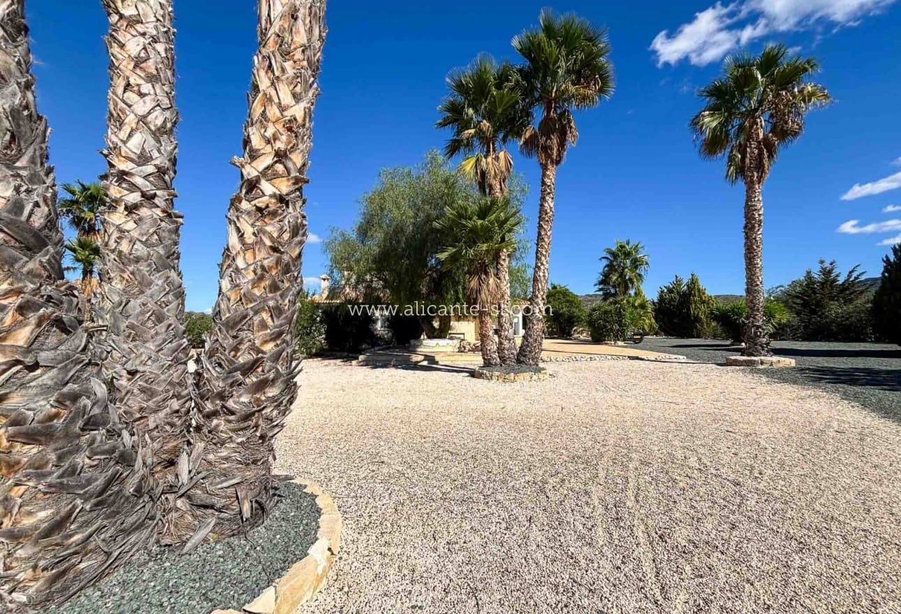 3 makuuhuone Huvila myytävänä paikassa Hondon de las Nieves mukana uima-altaan 
autotalli - 599 950 € (Ref: 9395433)