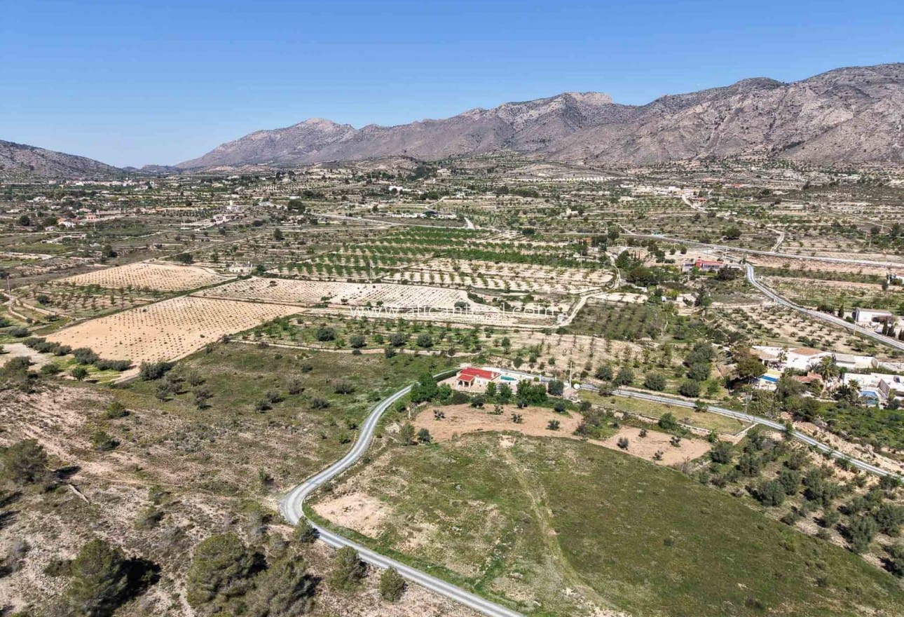 3 sypialnia Finka/Dom wiejski na sprzedaż w Hondon de las Nieves z basenem - 259 950 € (Ref: 9525626)