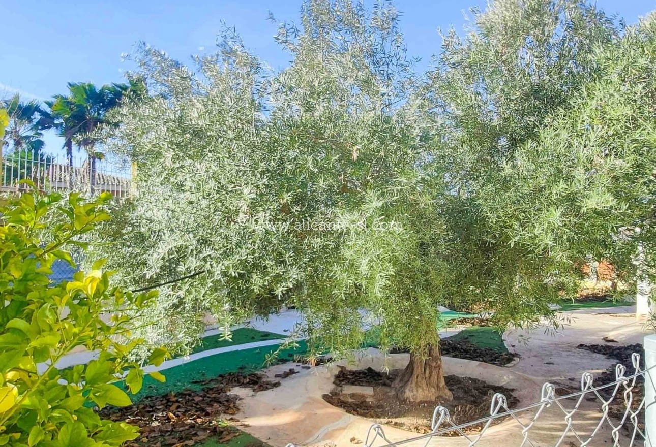 6 Zimmer Villa zu verkaufen in Aspe mit Pool - 360.000 € (Ref: 9624069)