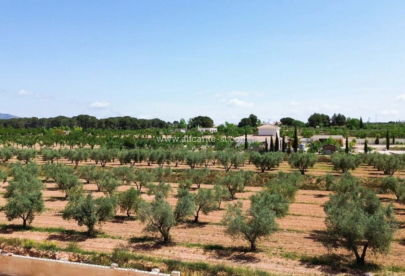 4 bedroom Villa for sale in Pinoso - € 419,950 (Ref: 9819331)