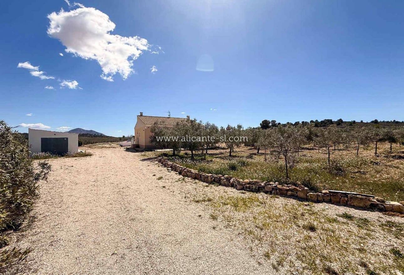 3 soveværelse Villa til salg i Pinoso med swimmingpool garage - € 250.000 (Ref: 9823641)