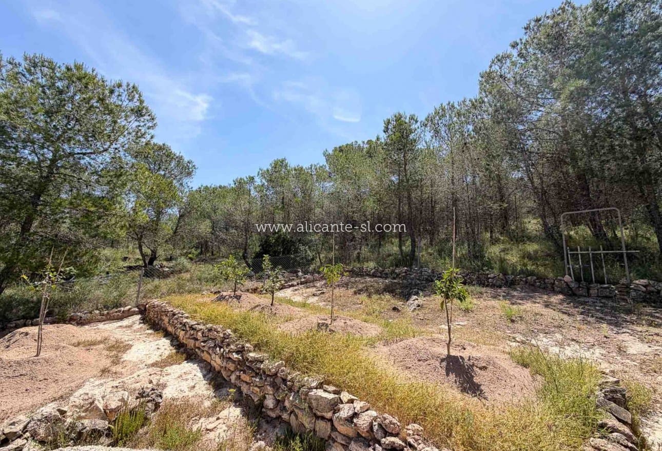 3 bedroom Finca/Country House for sale in Hondon de las Nieves with pool - € 269,950 (Ref: 9850127)