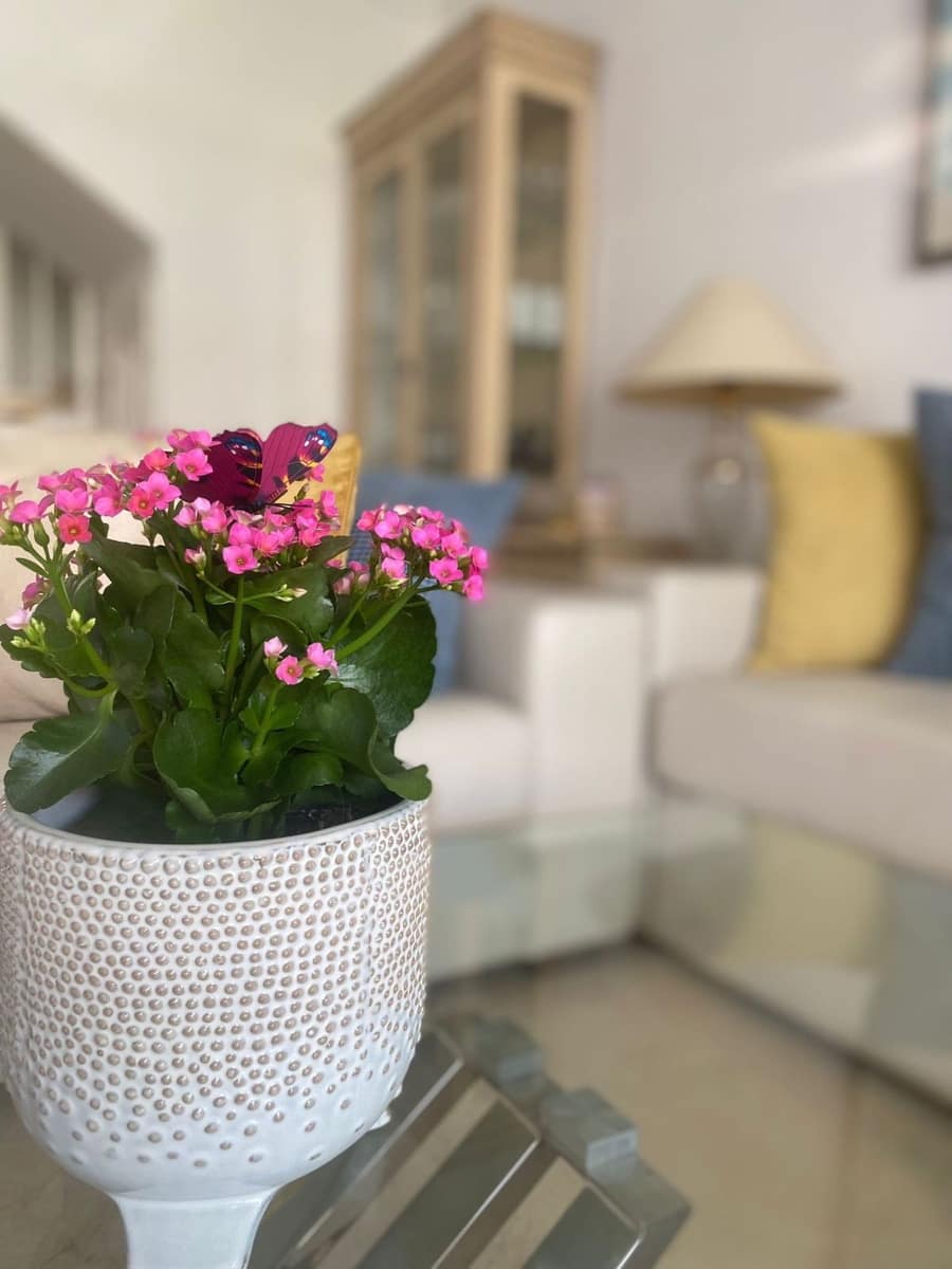 2 makuuhuone Omakotitalo lomavuokrausta paikassa Nueva Andalucia mukana uima-altaan 
autotalli - 950 € (Ref: 5517136)