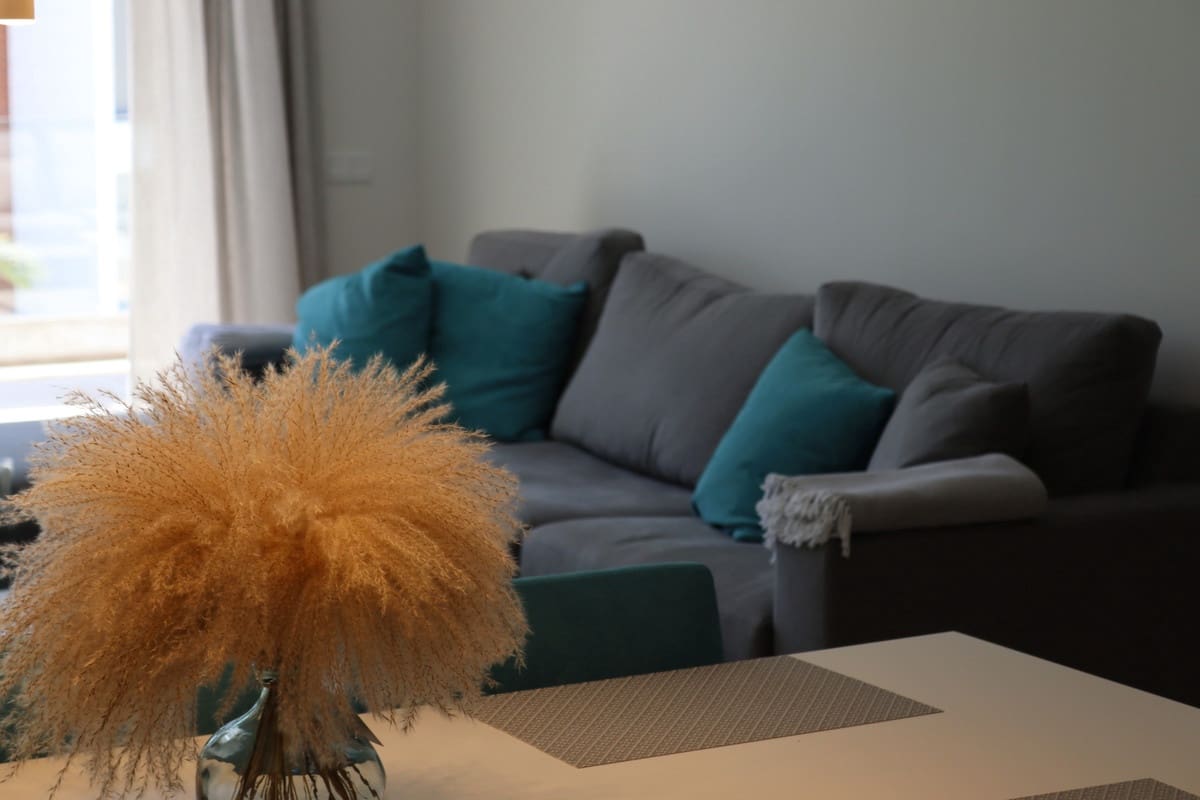 2 bedroom Penthouse for holiday rental in Cancelada with pool garage - € 1,000 (Ref: 6213074)