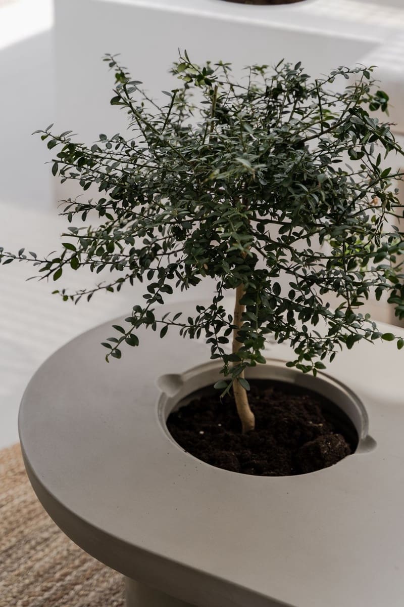 2 makuuhuone Huoneisto myytävänä paikassa La Quinta mukana uima-altaan 
autotalli - 549 000 € (Ref: 8133640)