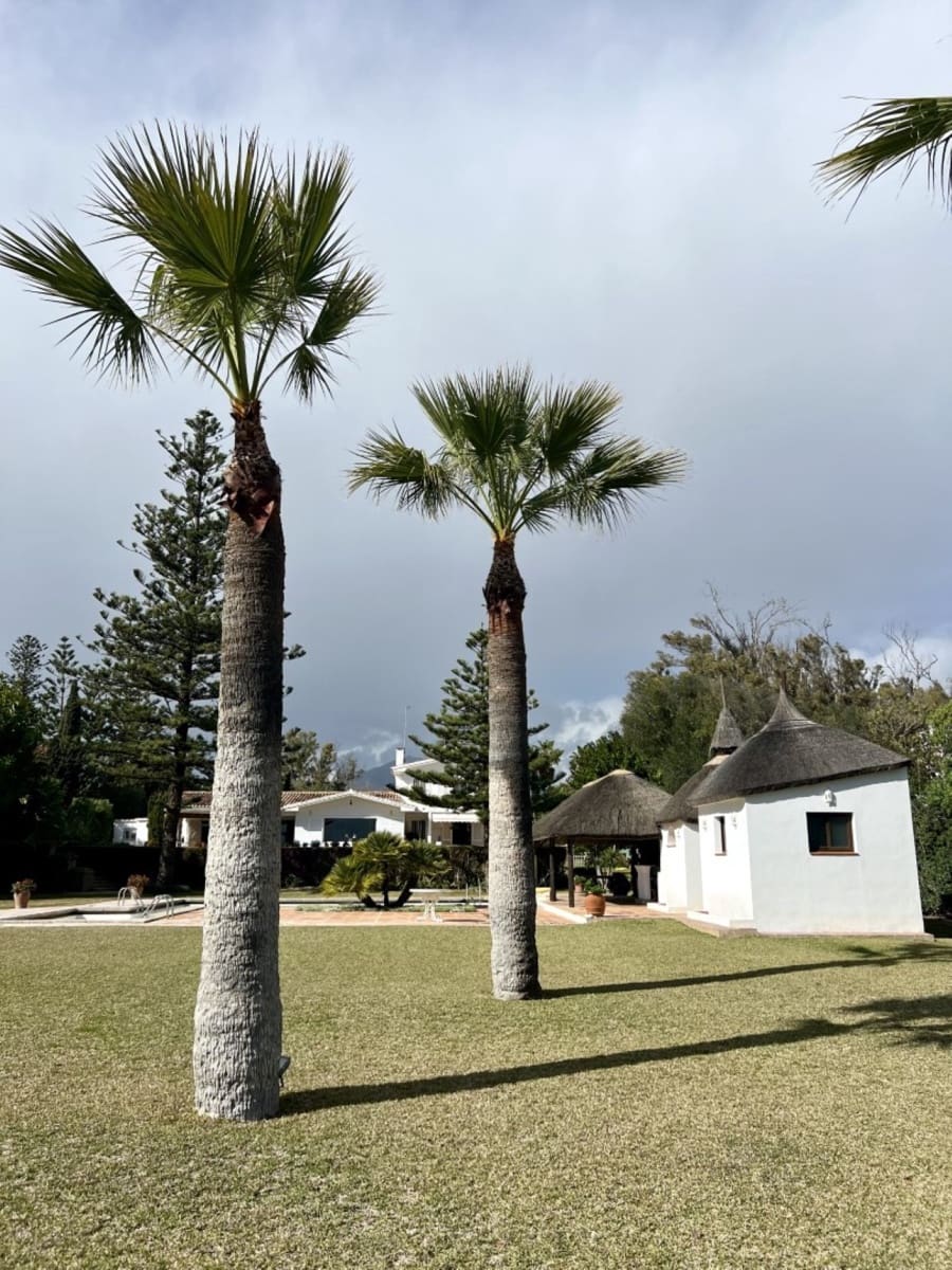 5 sovrum Villa för semesterbostäder i Guadalmina med pool - 16 250 € (Ref: 8214772)