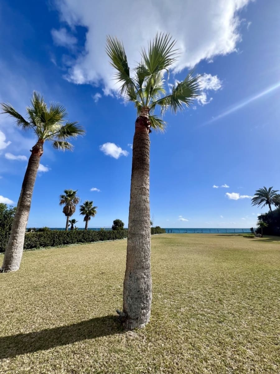 5 sovrum Villa för semesterbostäder i Guadalmina med pool - 16 250 € (Ref: 8214772)