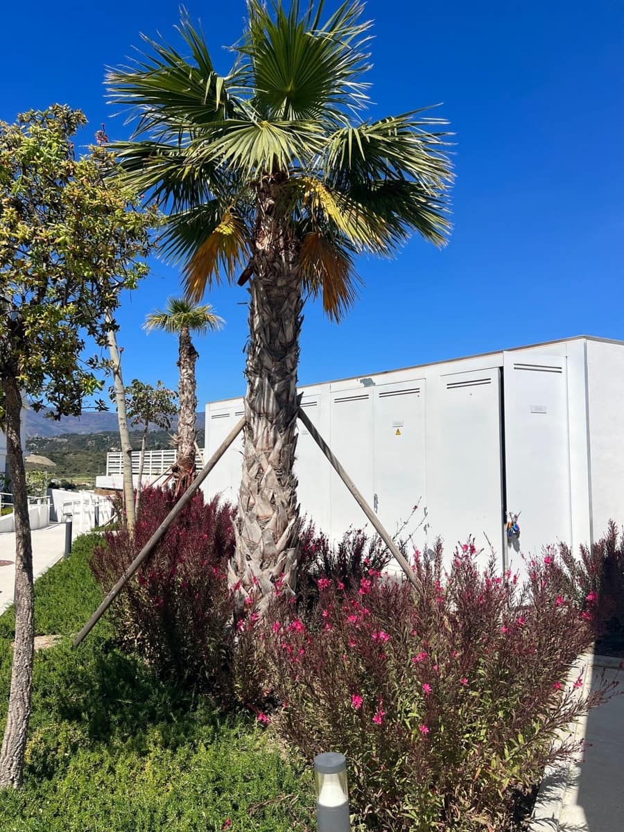 3 slaapkamer Appartement voor vakantieverhuur in Cancelada met zwembad garage - € 1.100 (Ref: 8799684)