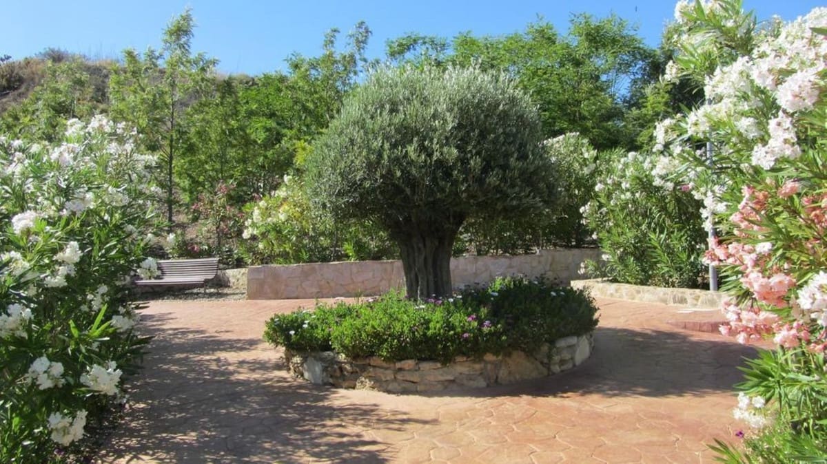 2 Zimmer Ferienapartment in La Cala de Mijas mit Pool Garage - 800 € (Ref: 8800118)