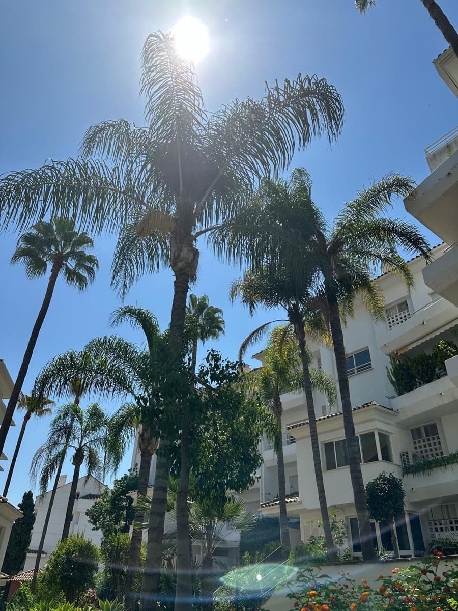 3 slaapkamer Appartement te huur in Guadalmina met zwembad garage - € 2.000 (Ref: 9238734)