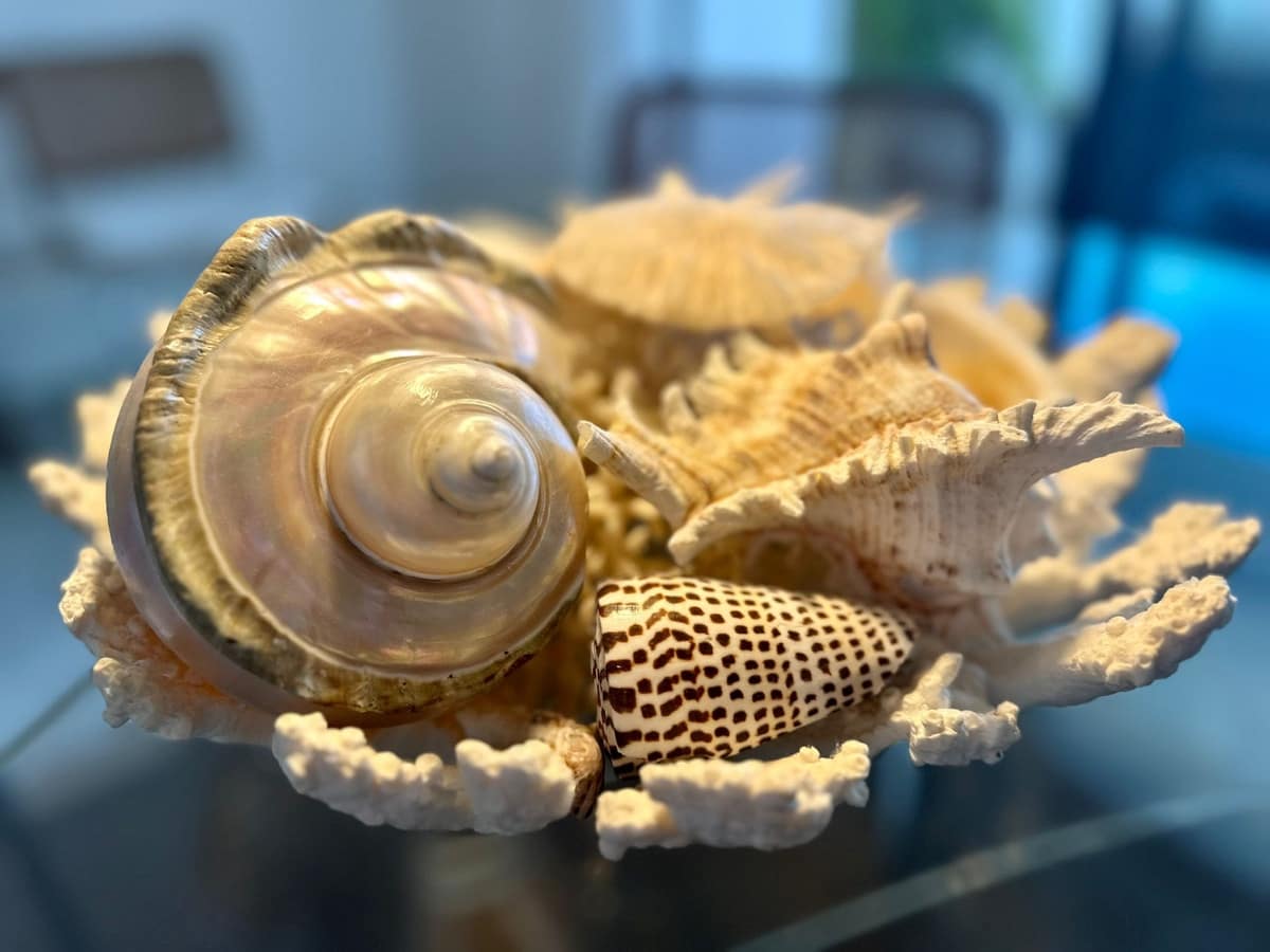 2 sypialnia Apartament do wynajęcia w Puerto Banus z basenem garażem - 3 000 € (Ref: 9506361)