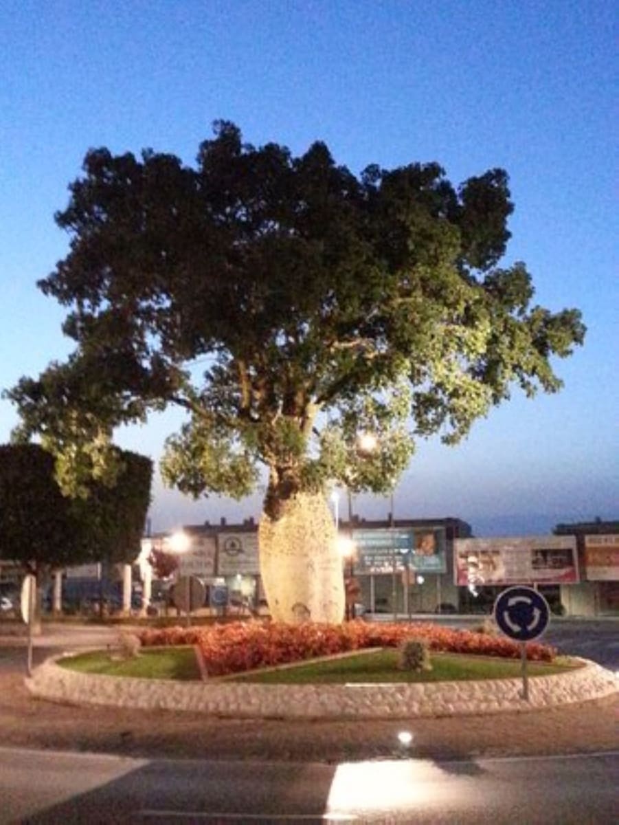 4 sypialnia Dom na sprzedaż w Alhaurin de la Torre - 395 000 € (Ref: 7686788)