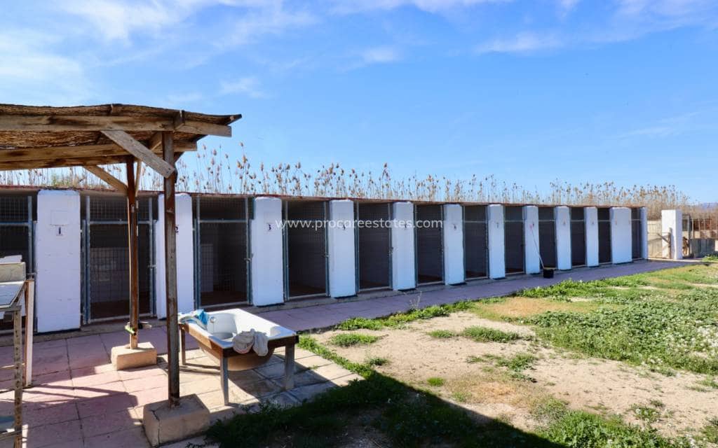 5 soveværelse Finca/Landehus til salg i Catral med swimmingpool - € 399.000 (Ref: 8848150)