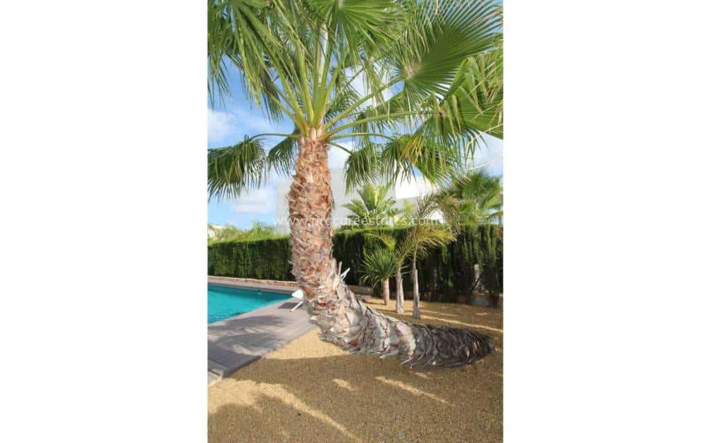 3 bedroom Villa for sale in Ciudad Quesada with pool - € 750,000 (Ref: 8981516)