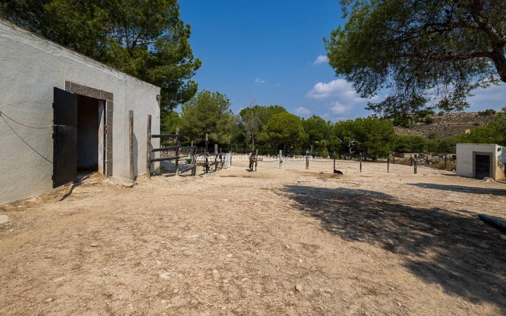 4 soverom Finca/Herregård til salgs i Torremendo med svømmebasseng - € 575 000 (Ref: 9211062)