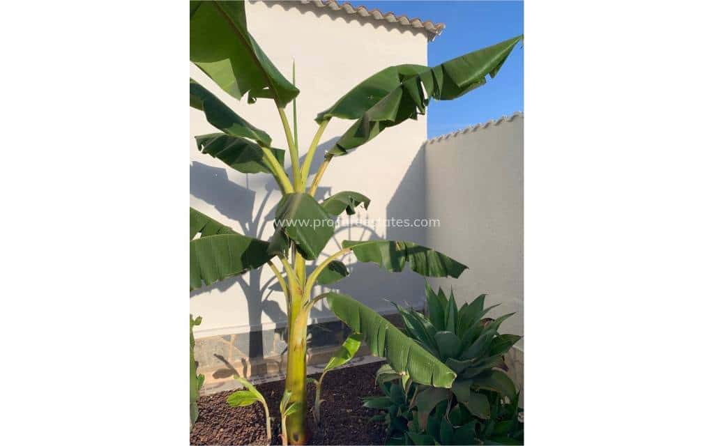 4 chambre Villa/Maison à vendre à Ciudad Quesada avec piscine - 530 000 € (Ref: 9211072)