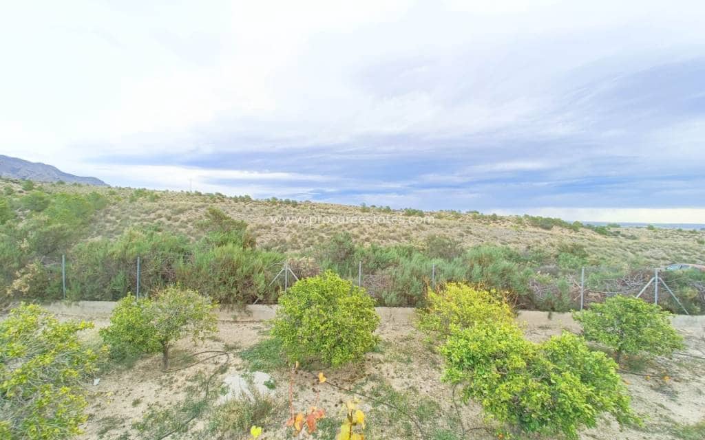 Chalet de 3 habitaciones en Albatera en venta con piscina - 259.950 € (Ref: 9503053)