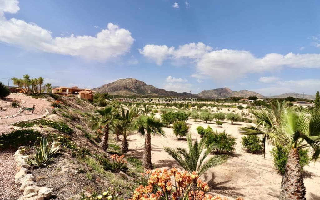 4 soveværelse Finca/Landehus til salg i Albatera med swimmingpool garage - € 540.000 (Ref: 9818467)