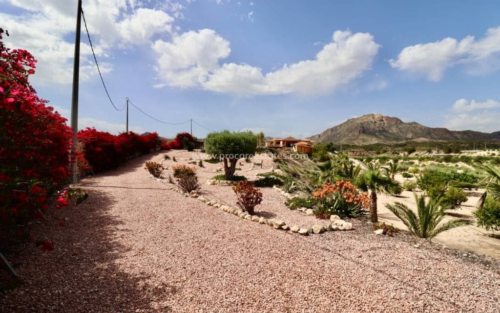 4 soveværelse Finca/Landehus til salg i Albatera med swimmingpool garage - € 540.000 (Ref: 9818467)