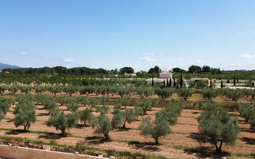 4 bedroom Villa for sale in Pinoso - € 420,000 (Ref: 9850104)