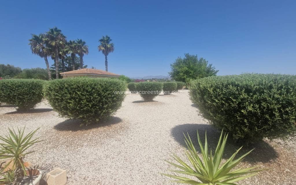 3 camera da letto Finca/Casa di Campagna in vendita in Catral con piscina - 379.000 € (Rif: 9893077)
