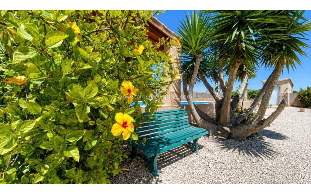 3 soveværelse Villa til salg i Macisvenda med swimmingpool - € 265.000 (Ref: 9920912)