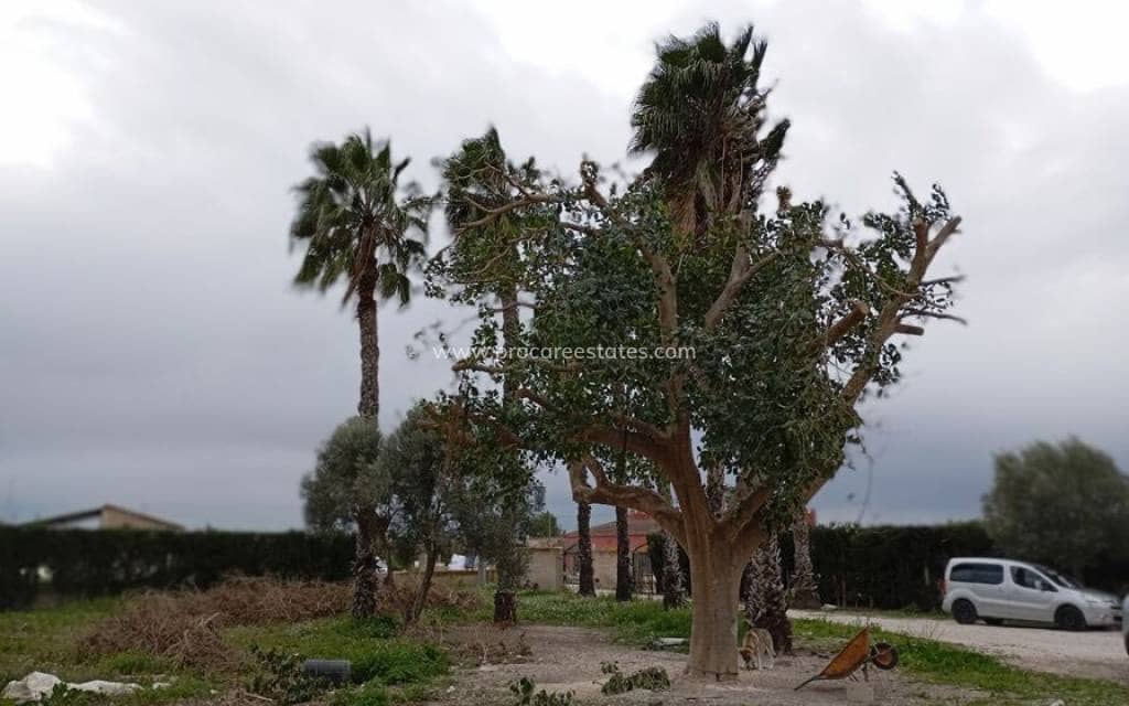 3 bedroom Villa for sale in Daya Vieja - € 284,000 (Ref: 9920917)
