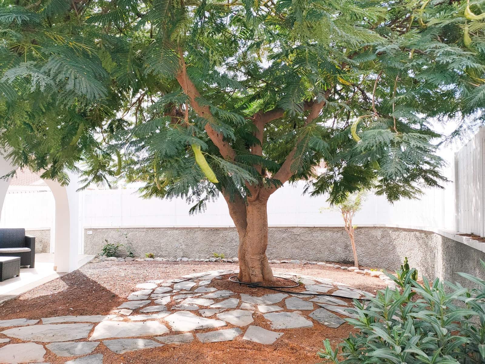 3 soveværelse Bungalow til salg i Campo Internacional med swimmingpool garage - € 677.000 (Ref: 8601251)