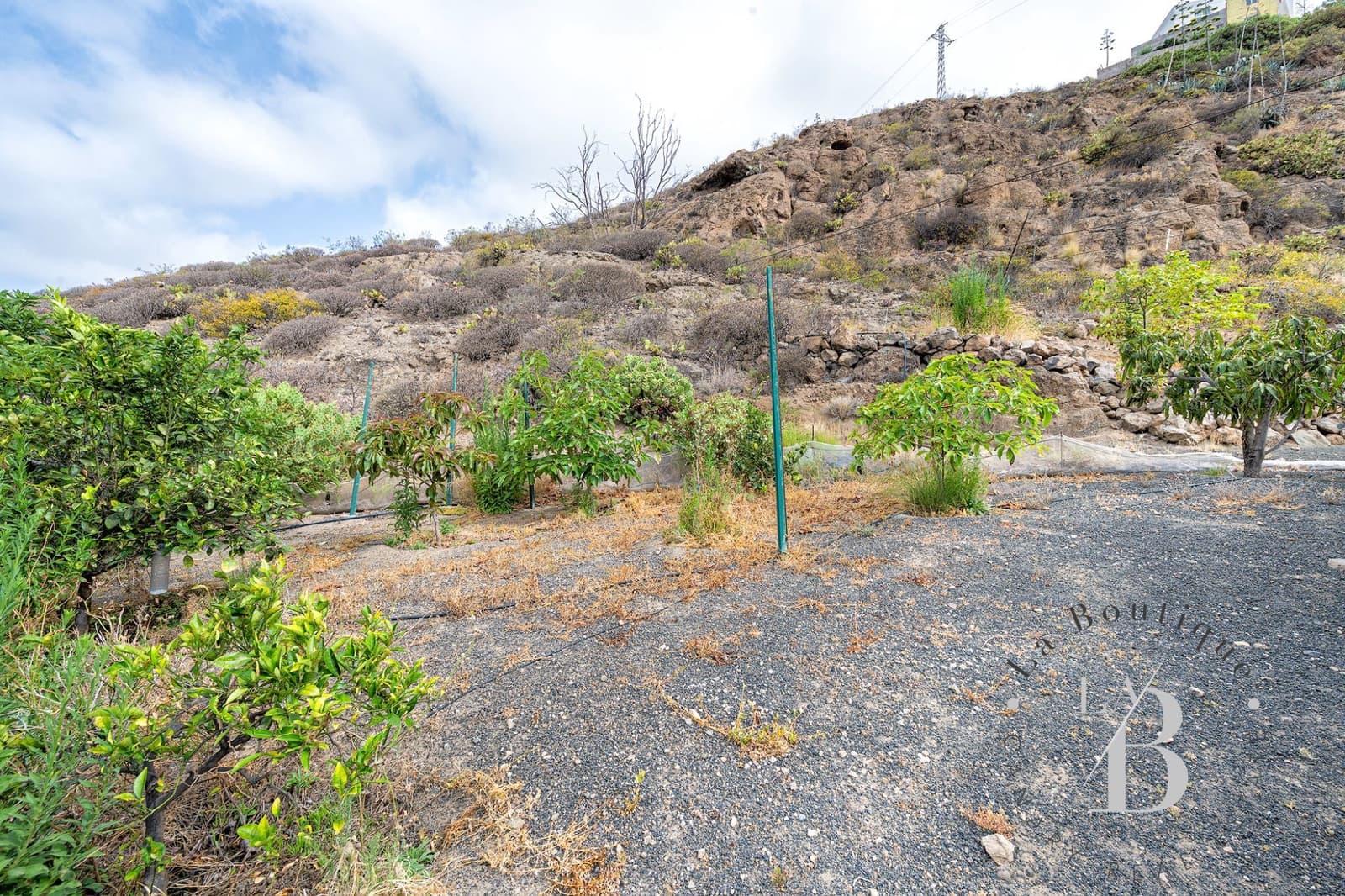 4 soveværelse Villa til salg i Telde med swimmingpool garage - € 980.000 (Ref: 9118537)