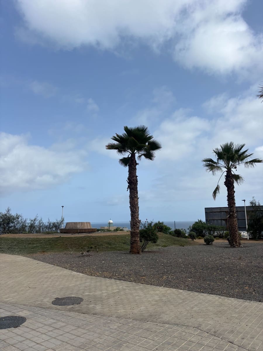 Erhverv til salg i Las Palmas de Gran Canaria - € 155.000 (Ref: 9186645)