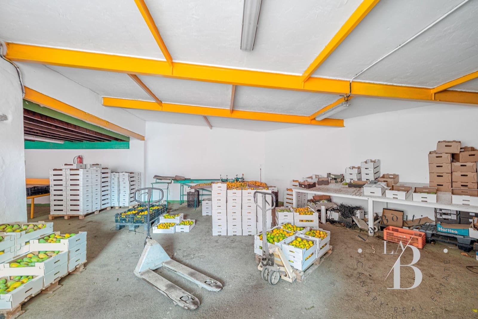 4 sovrum Finca/Hus på landet till salu i Telde med garage - 5 450 000 € (Ref: 9378696)