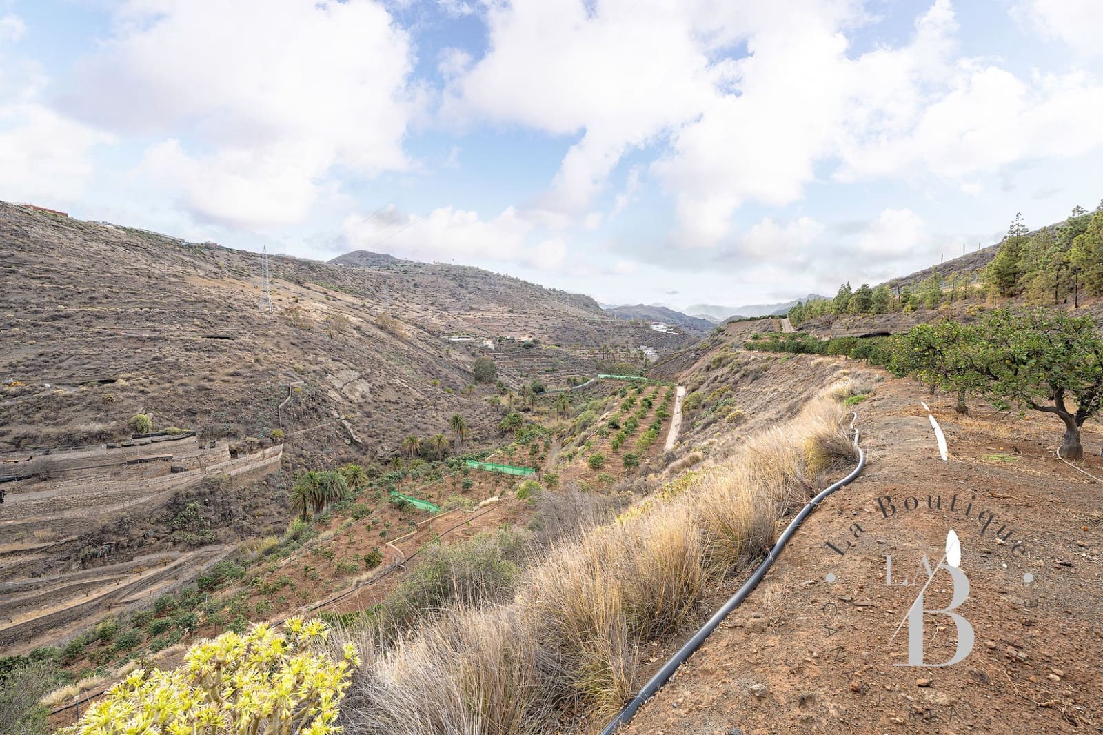 4 sovrum Finca/Hus på landet till salu i Telde med garage - 5 450 000 € (Ref: 9378696)