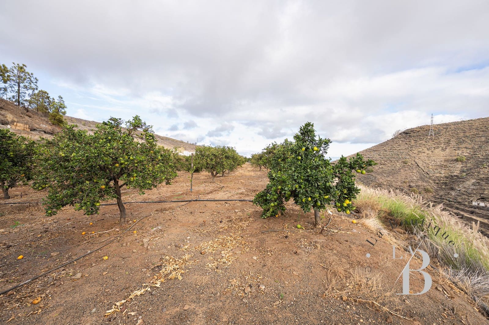 4 sovrum Finca/Hus på landet till salu i Telde med garage - 5 450 000 € (Ref: 9378696)