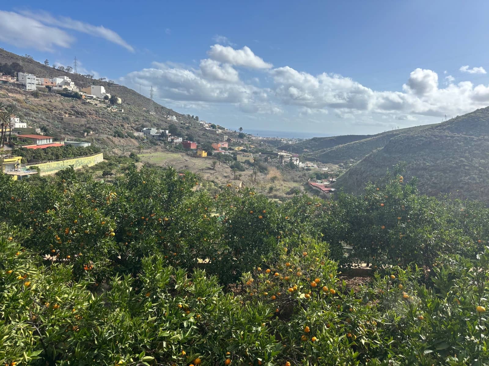 4 sovrum Finca/Hus på landet till salu i Telde med garage - 5 450 000 € (Ref: 9378696)