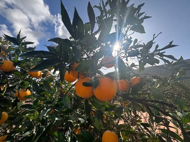 4 bedroom Finca/Country House for sale in Telde with garage - € 5,450,000 (Ref: 9378696)