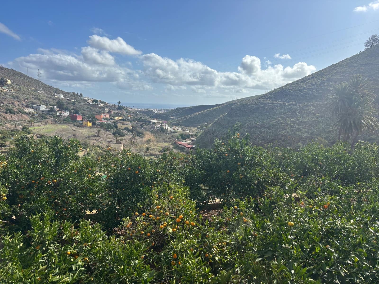 4 sovrum Finca/Hus på landet till salu i Telde med garage - 5 450 000 € (Ref: 9378696)